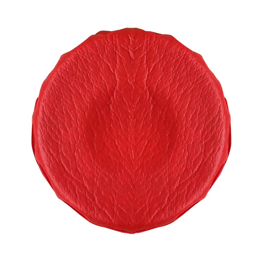 DONA 80 CON INDUCTOR EN POSITIVO GRANDE 9000 GAUSS (PIEZA) BIOMAGNETISMO FERRITA 