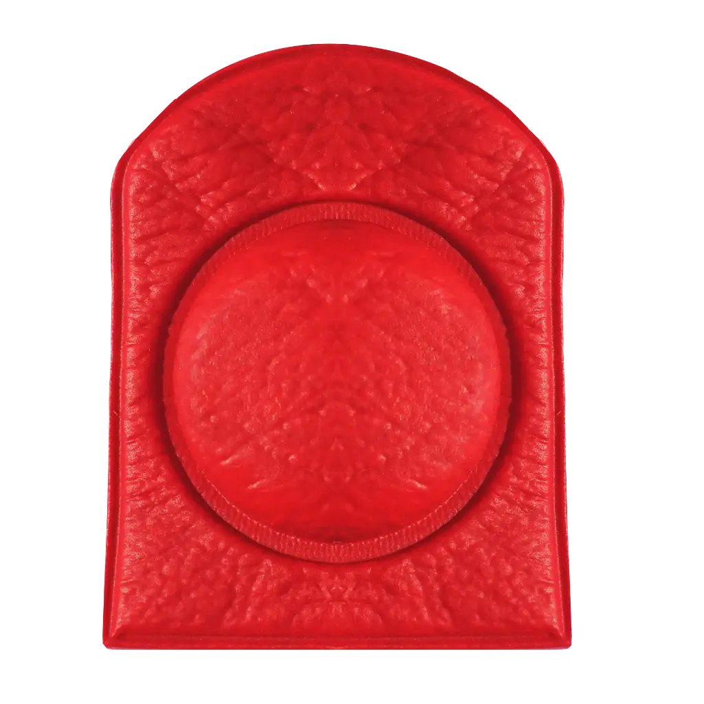 20 X 5 MM 5000 GAUSS (PIEZA) BIOMAGNETISMO NEODIMIO 