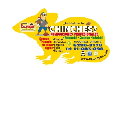 IMANES PUBLICITARIOS 9X5 CM CON SUAJE (1 MILLAR)