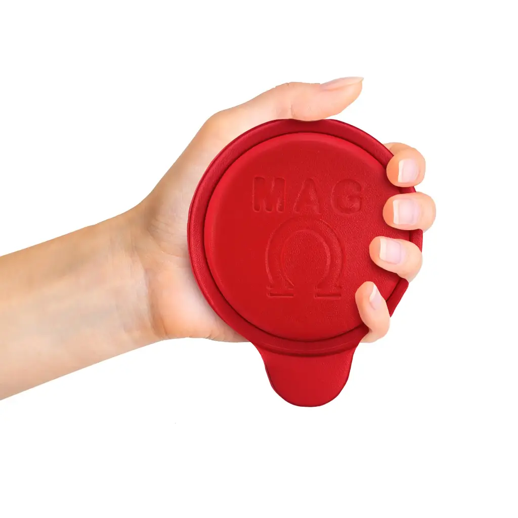 70X8 MM 5000 GAUSS (PAR) BIOMAGNETISMO FERRITA 